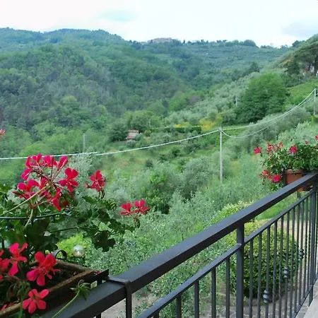 Apartment Casa Berti