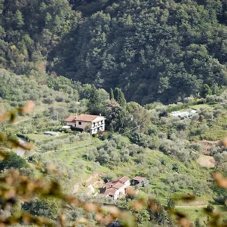 Apartment Casa Berti